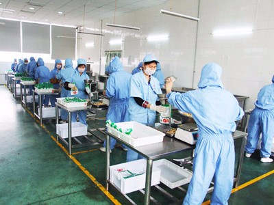 便携式降解热封膜发展趋势