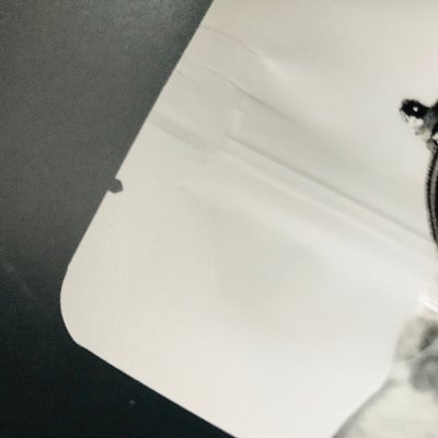 宠物食品自立拉链密封袋